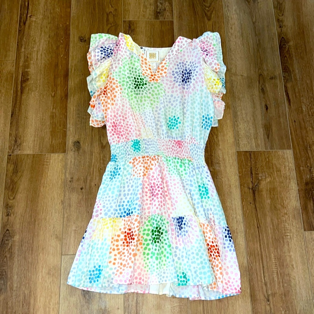 Emily McCarthy smocked ruffle polka dot dress